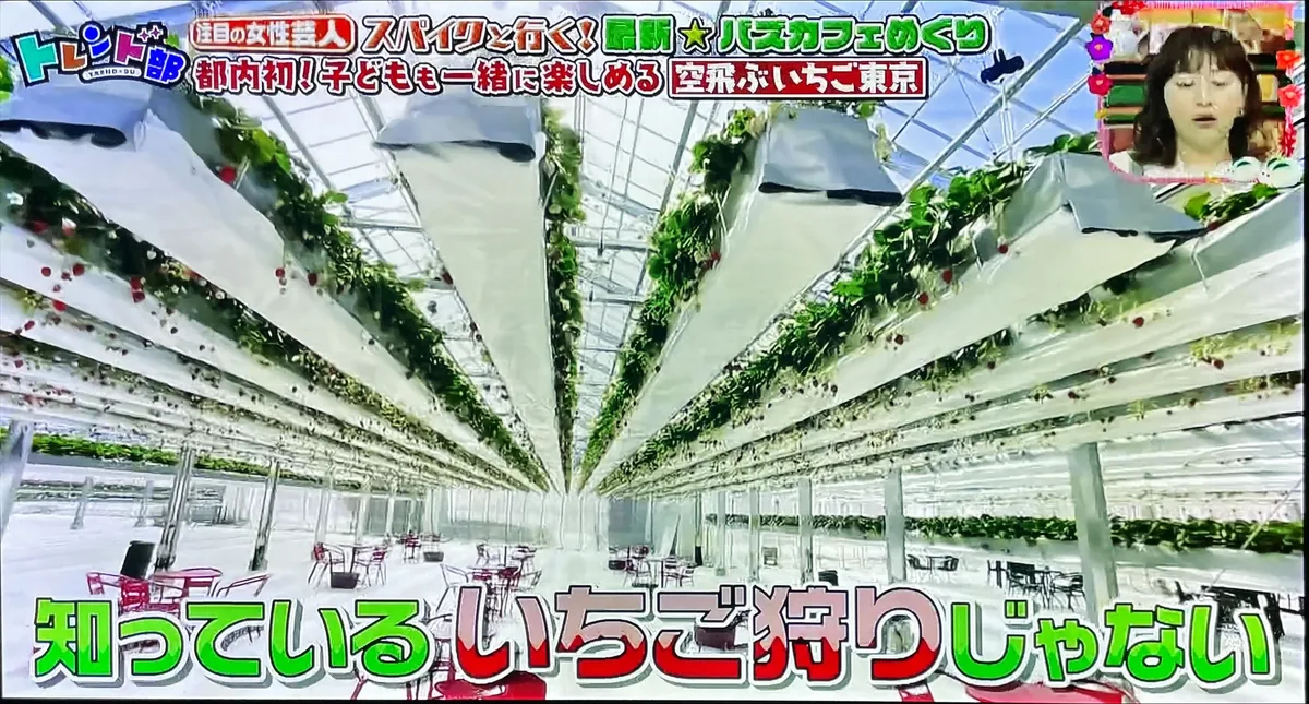 王様のブランチ